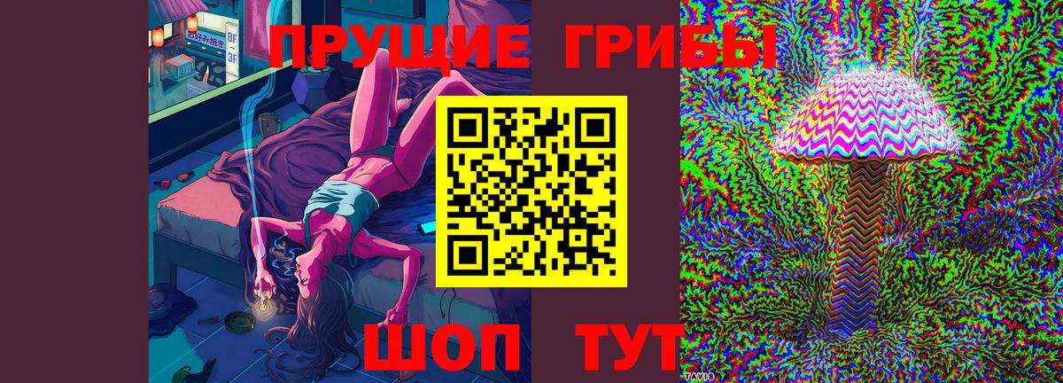 Тимашёвск  Псилоцибиновые грибы MAGIC MUSHROOMS  Вход с VPN 